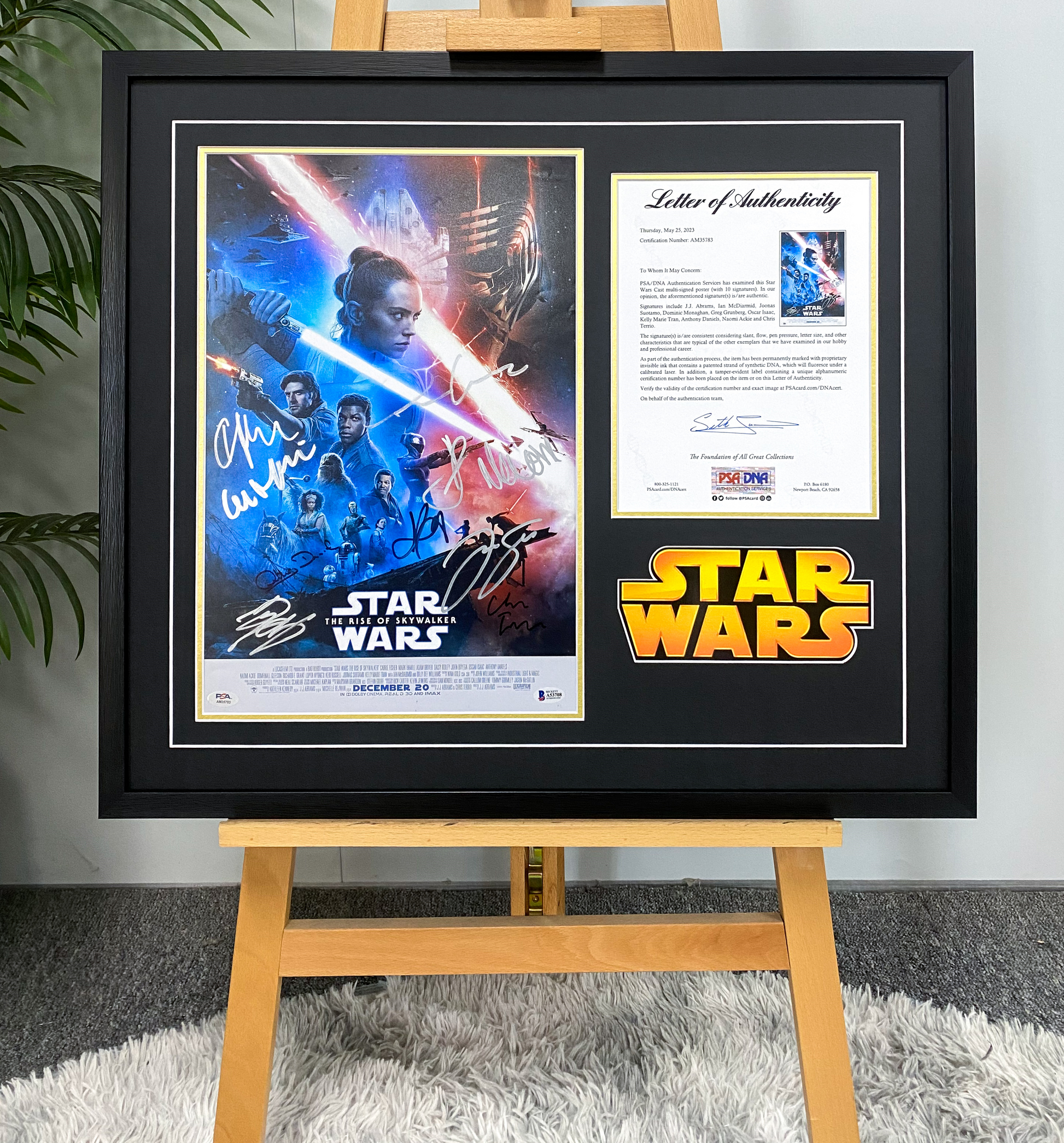 Star Wars Potter Poster with Personalized Custom Design Framed 00104