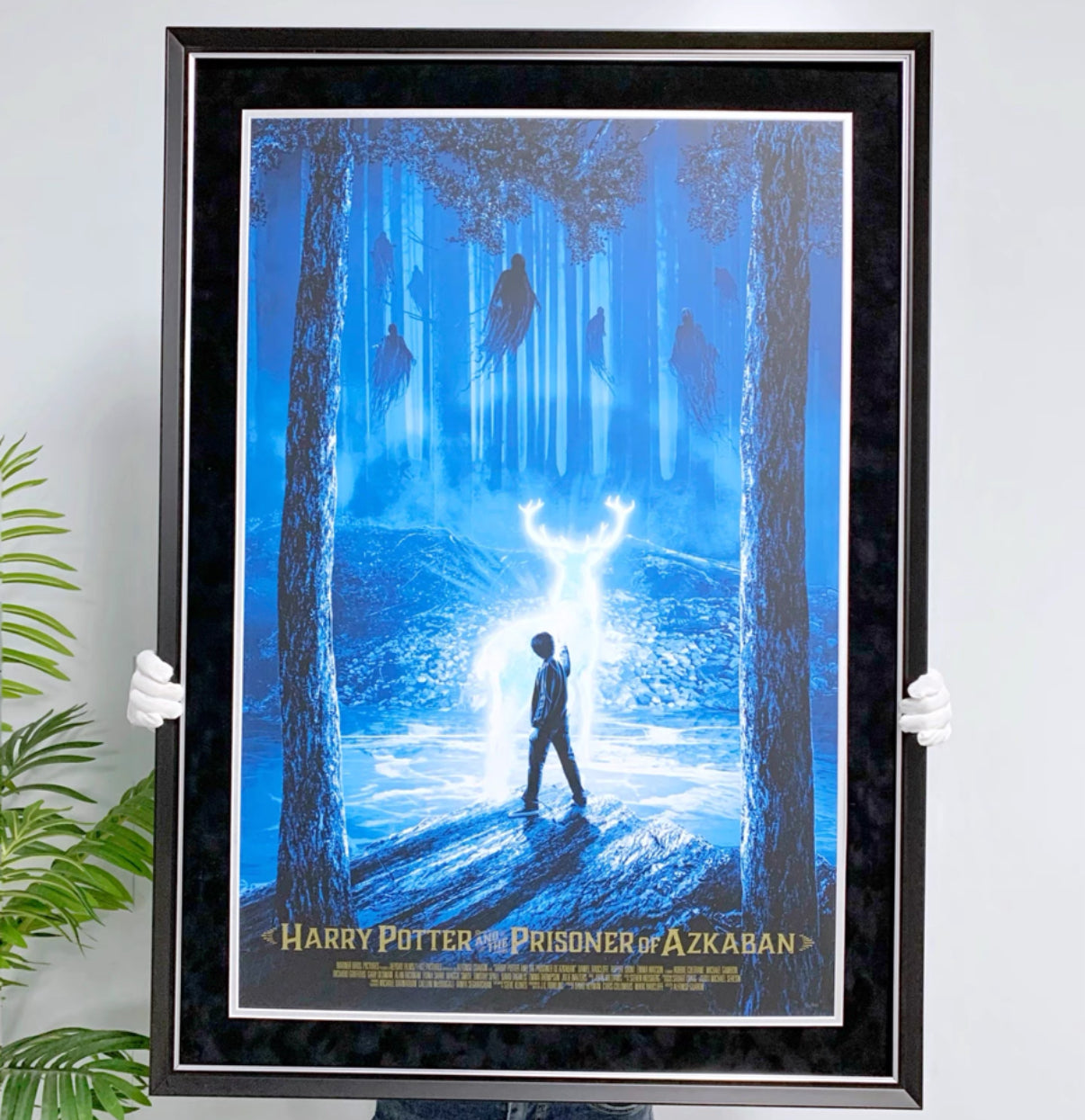 Poster with Personalized Custom Design Framed 000015