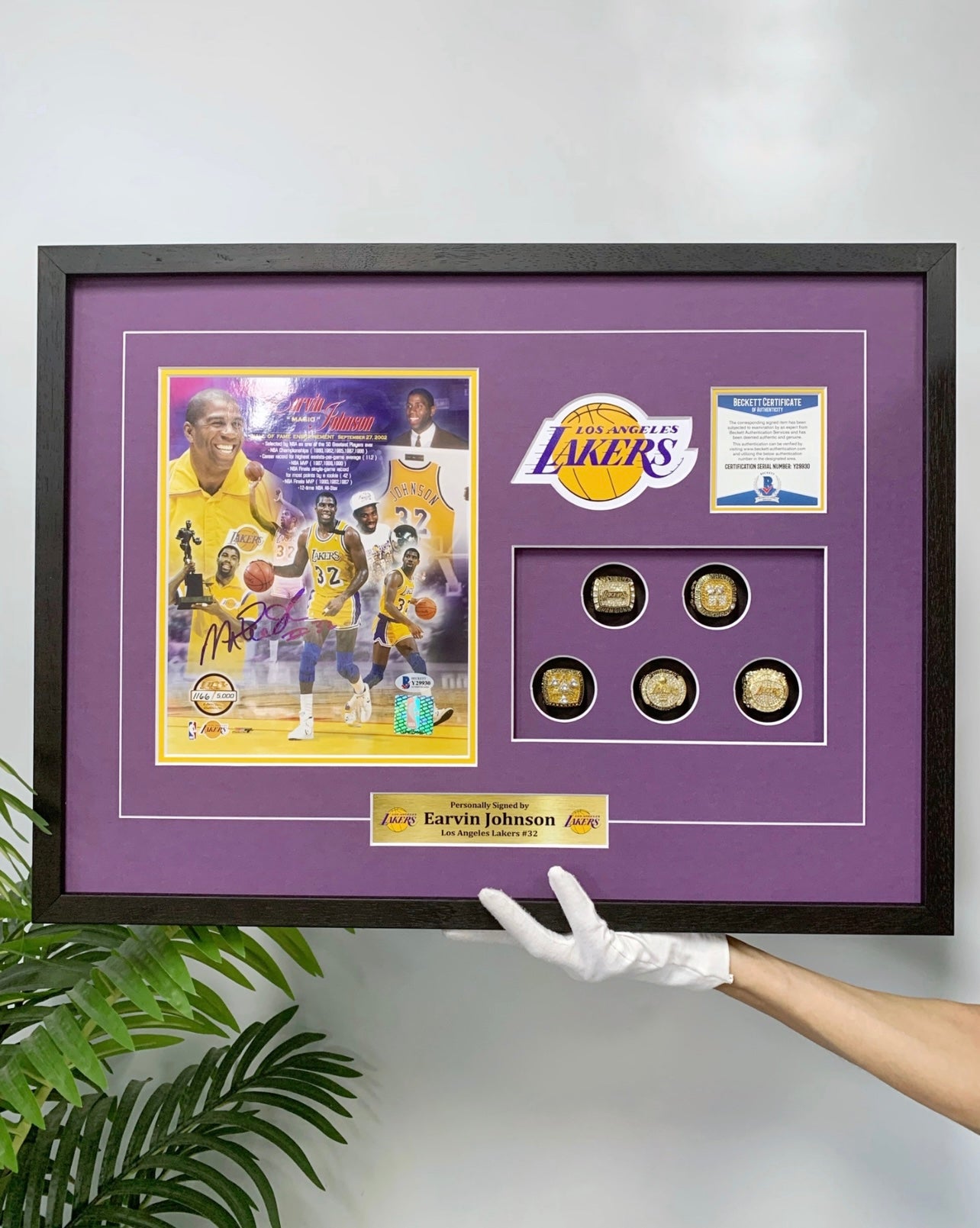 Johnson Poster with Personalized Custom Design Framed 000067