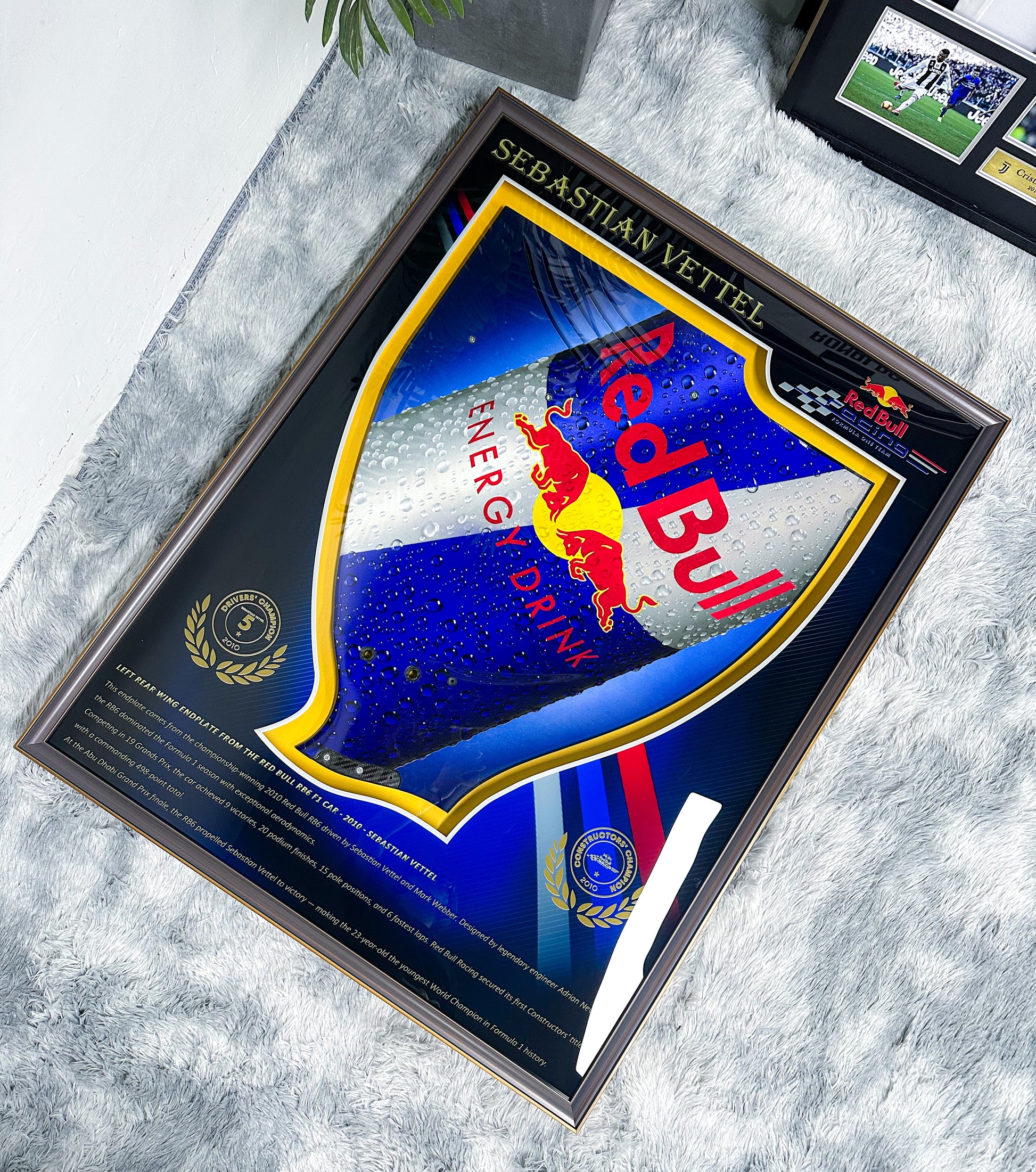 F1 Vettel Red Bull RB6 Left Rear Wing Endplate 000126