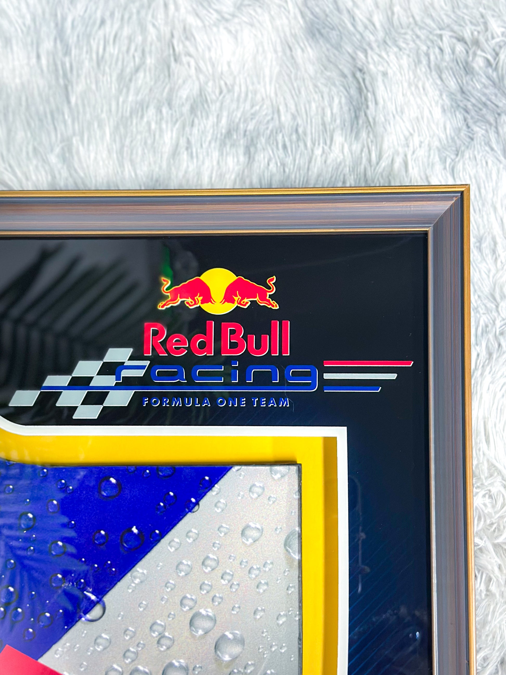 F1 Vettel Red Bull RB6 Left Rear Wing Endplate 000126