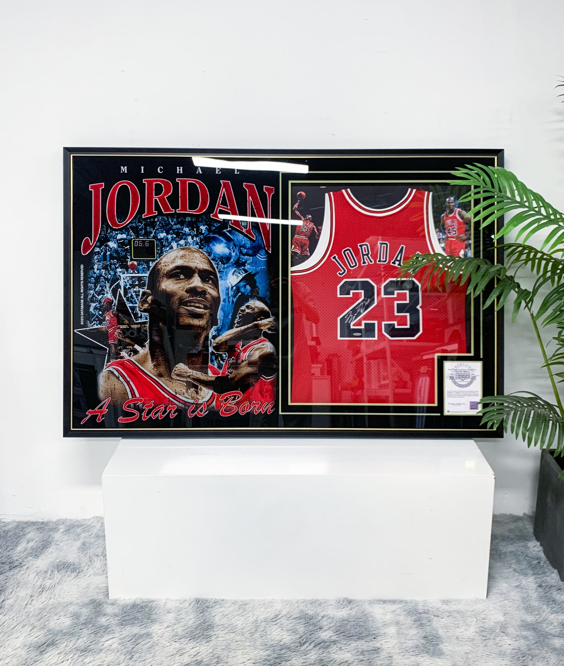 Chicago Bulls Michael Jordan Autographed Jersey with Standard Design Framed 00085