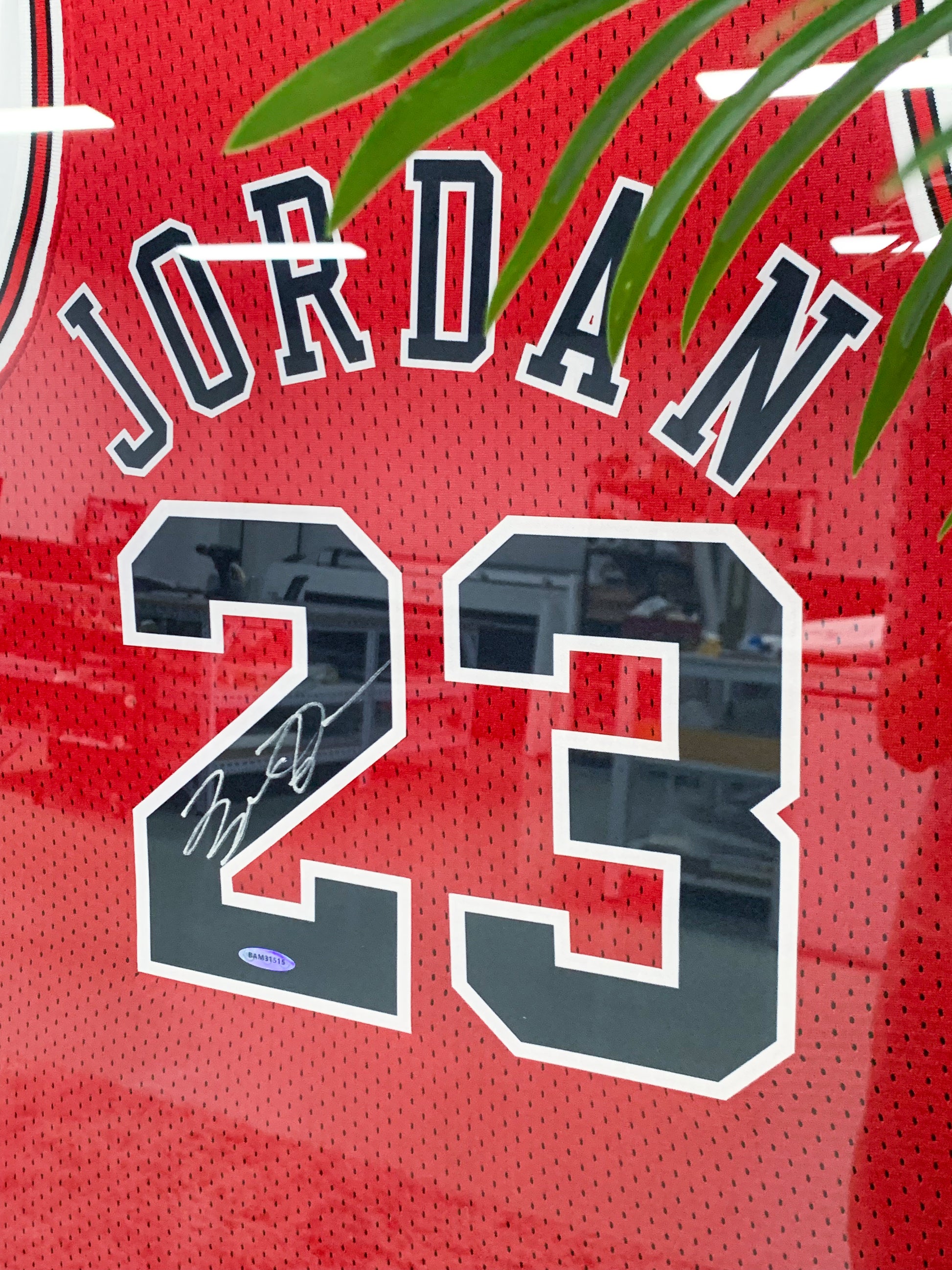 Chicago Bulls Michael Jordan Autographed Jersey with Standard Design Framed 00085