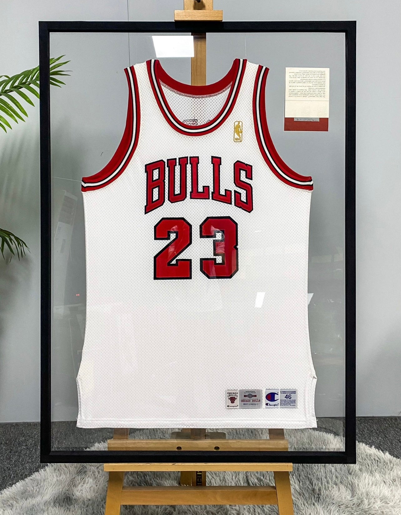 Chicago Bulls Michael Jordan Autographed Jersey with Standard Design Framed 00078