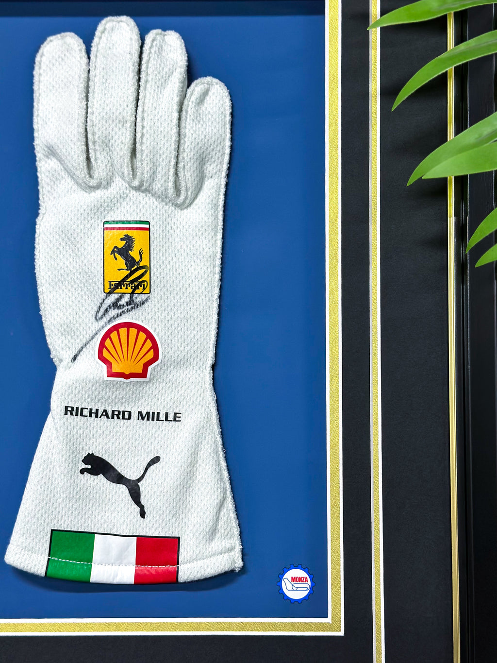 Custom glove framing 000182