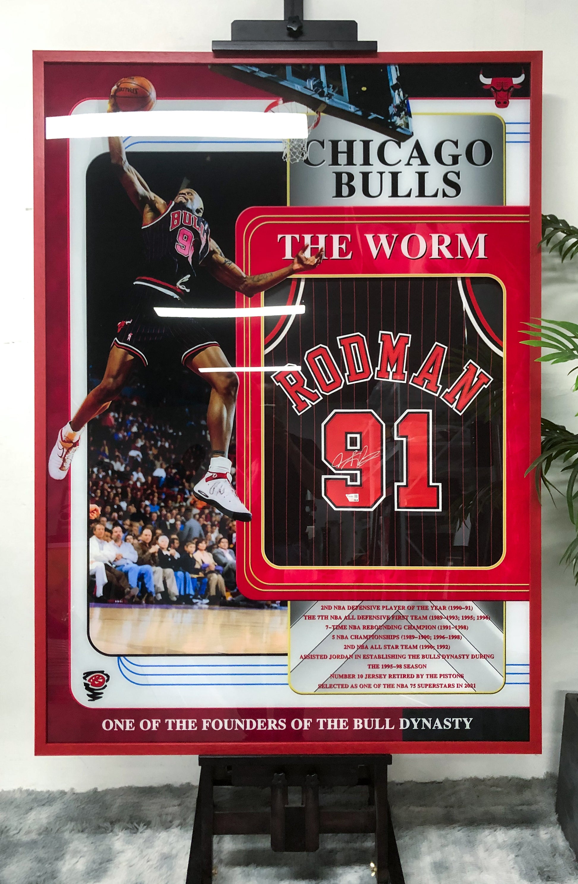 Chicago Bulls Dennis Rodman Autographed Jersey with Standard Design Framed 000013