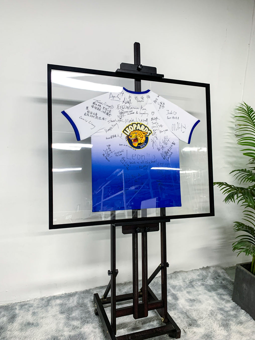 Custom T-Shirt Framing 000239