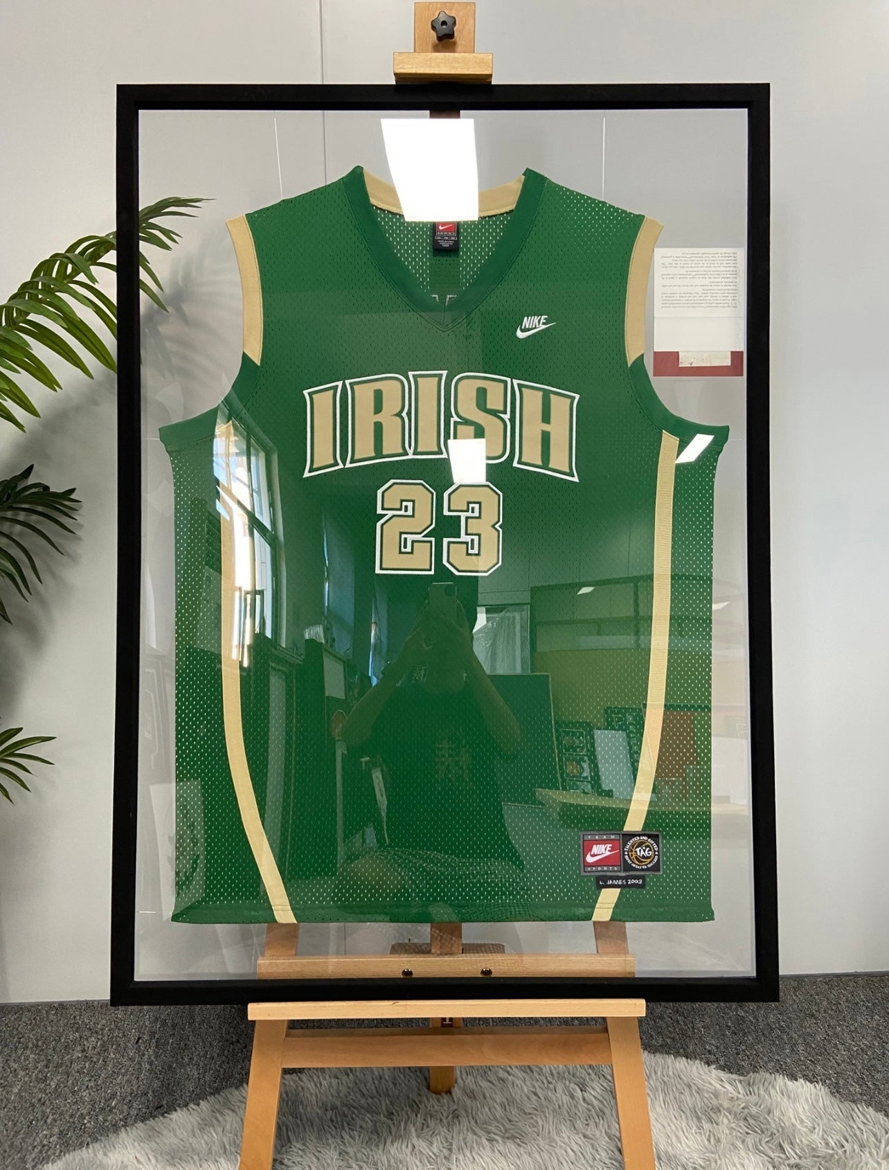 IRISH LeBron James Autographed Jersey with Personalized Custom Design Framed 000047