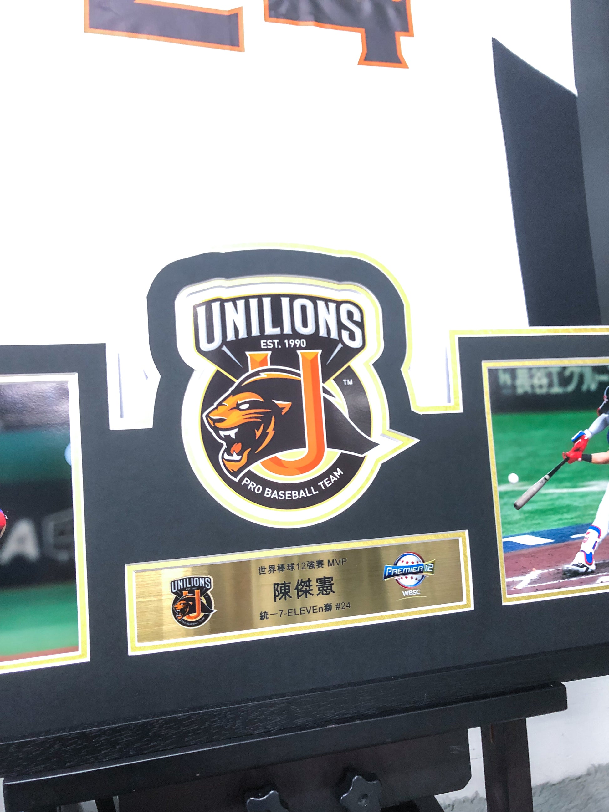 UNILIONS Autographed Jersey with Personalized Custom Design Framed 00010