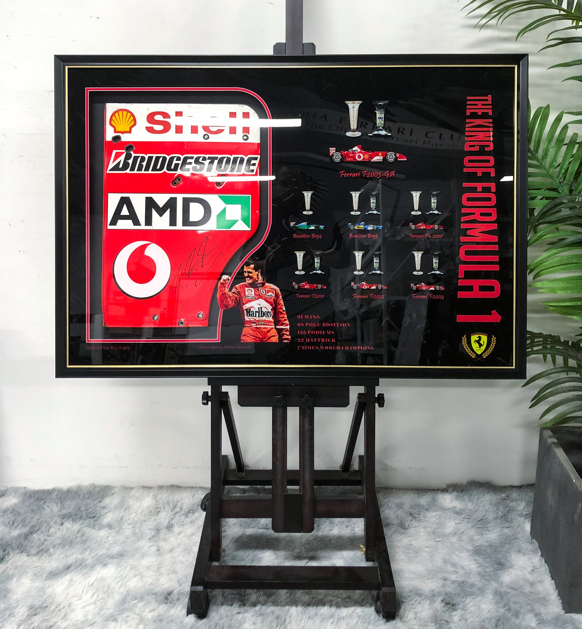F1 Ferrari Michael Schumacher Car Parts Custom Framed 000183