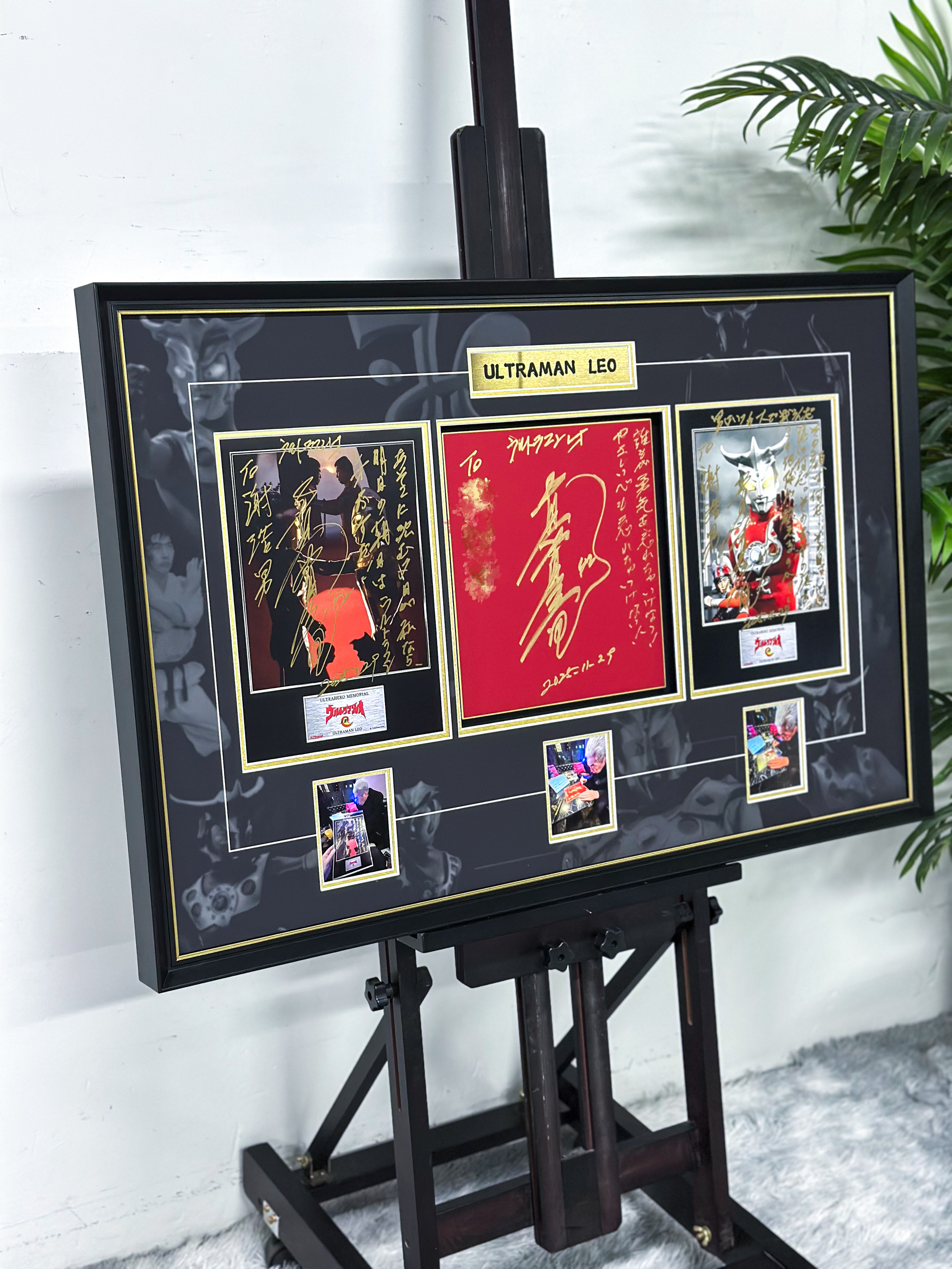 LEO Poster Custom Framing 000211