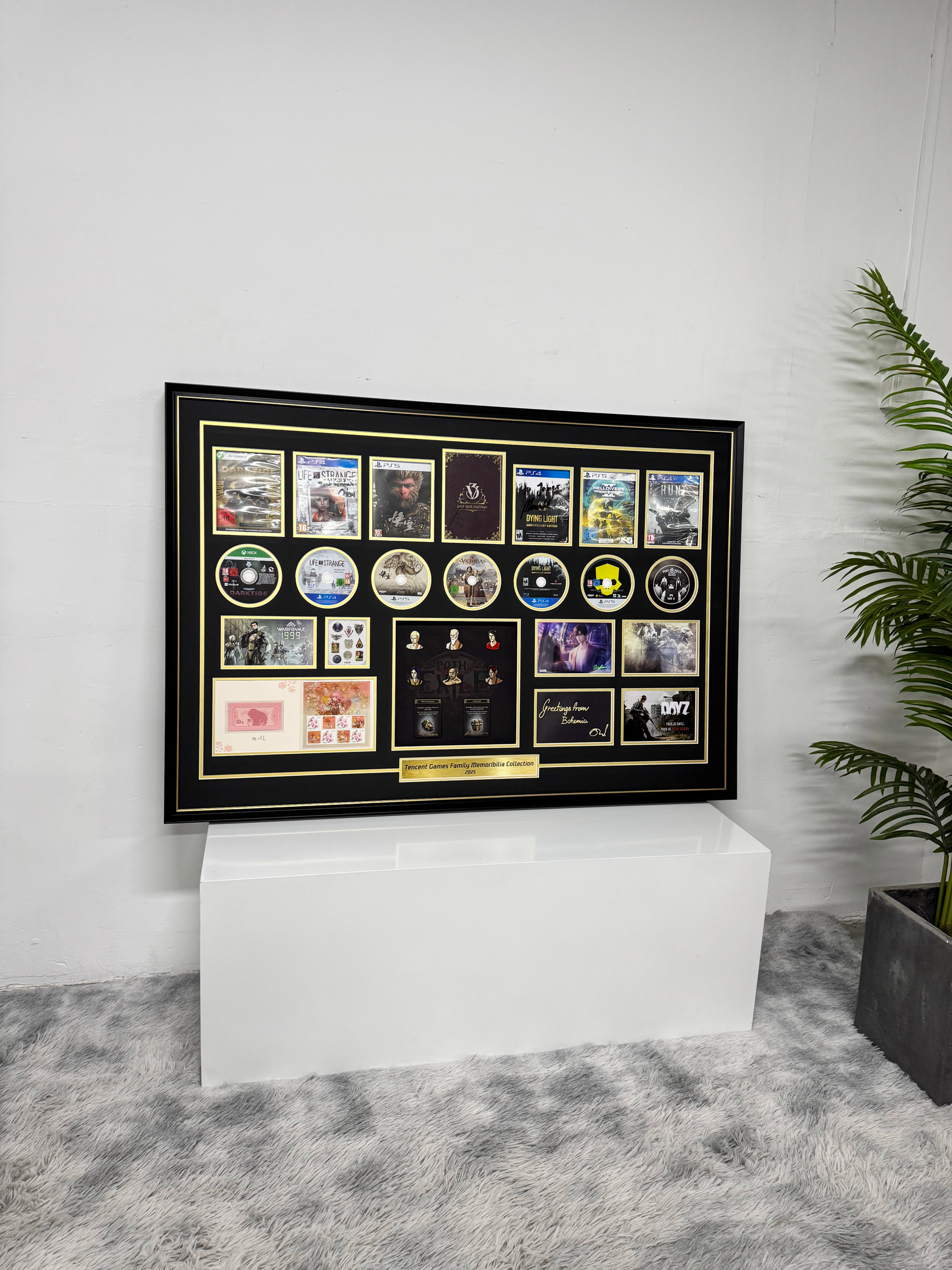 CD Projekt Custom Framing 000234