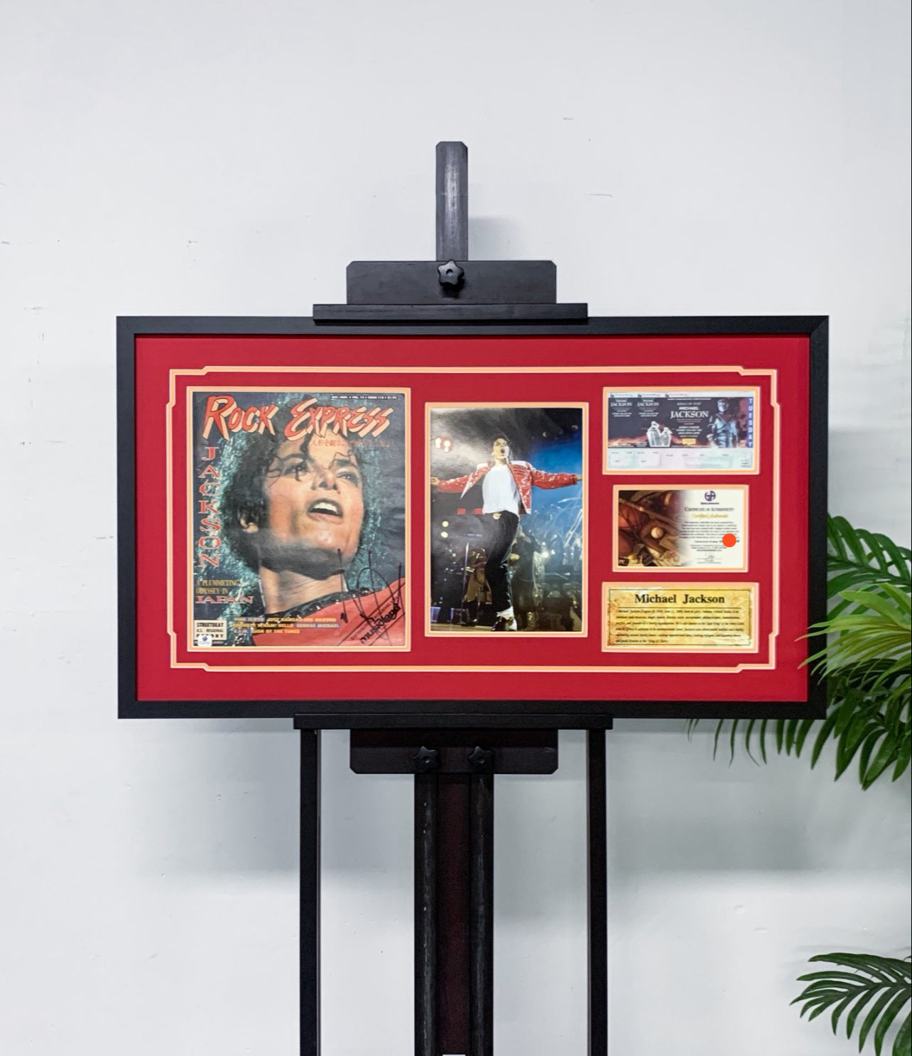 MJ Framed Personalized Keepsakes: Magazines, Books, and Emotional Items 000056