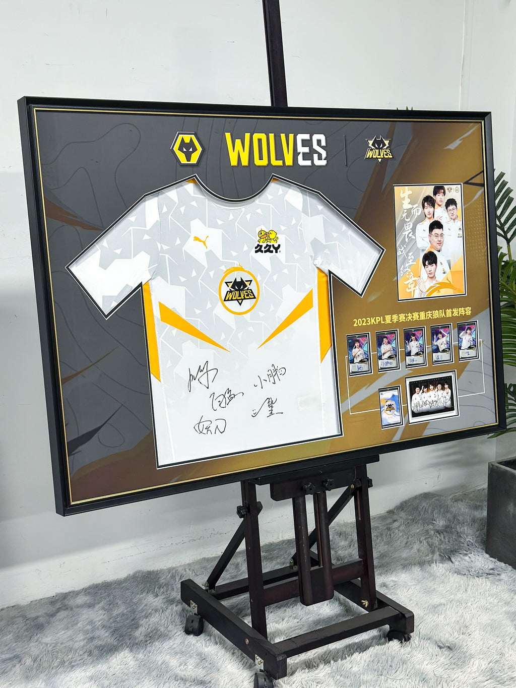 KPL Champion Custom T-Shirt Custom Framing