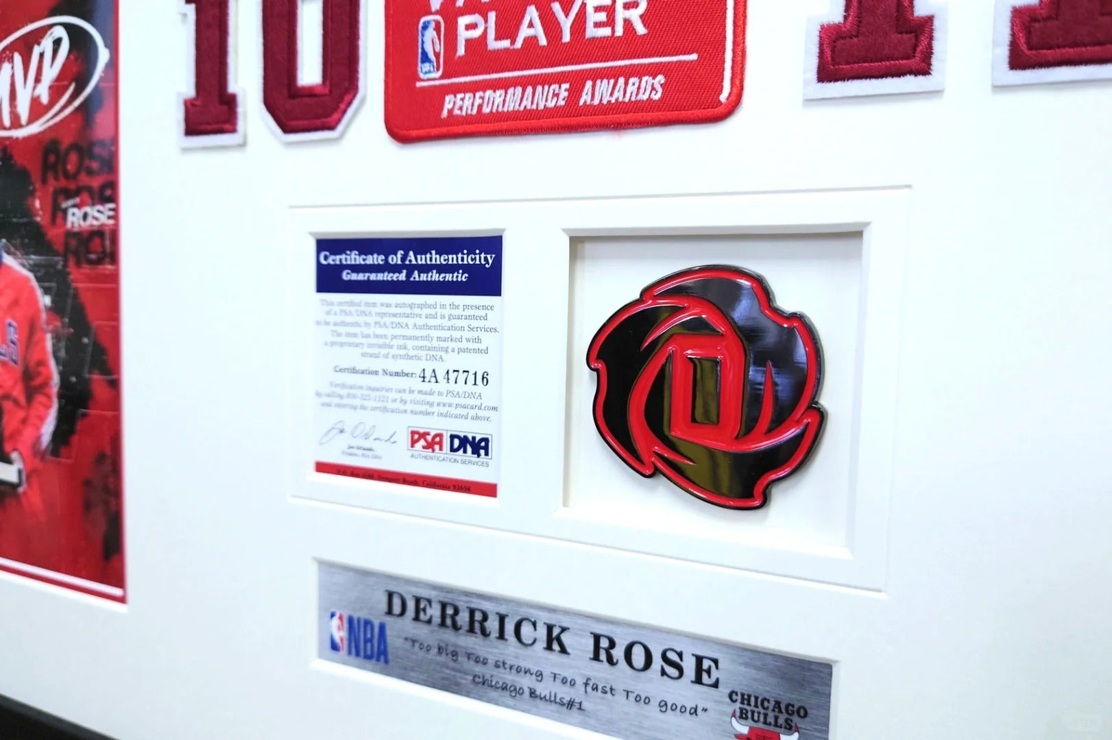 Chicago Bulls Derrick Rose Autographed Jersey with Personalized Custom Design Framed 00005