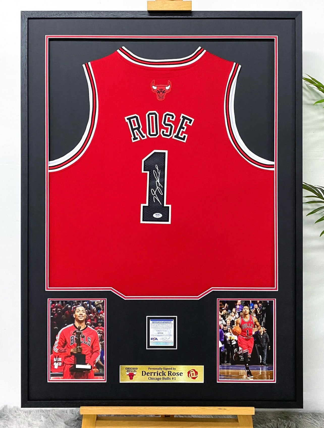 Chicago Bulls Derrick Rose Autographed Jersey with Standard Design Framed 00001