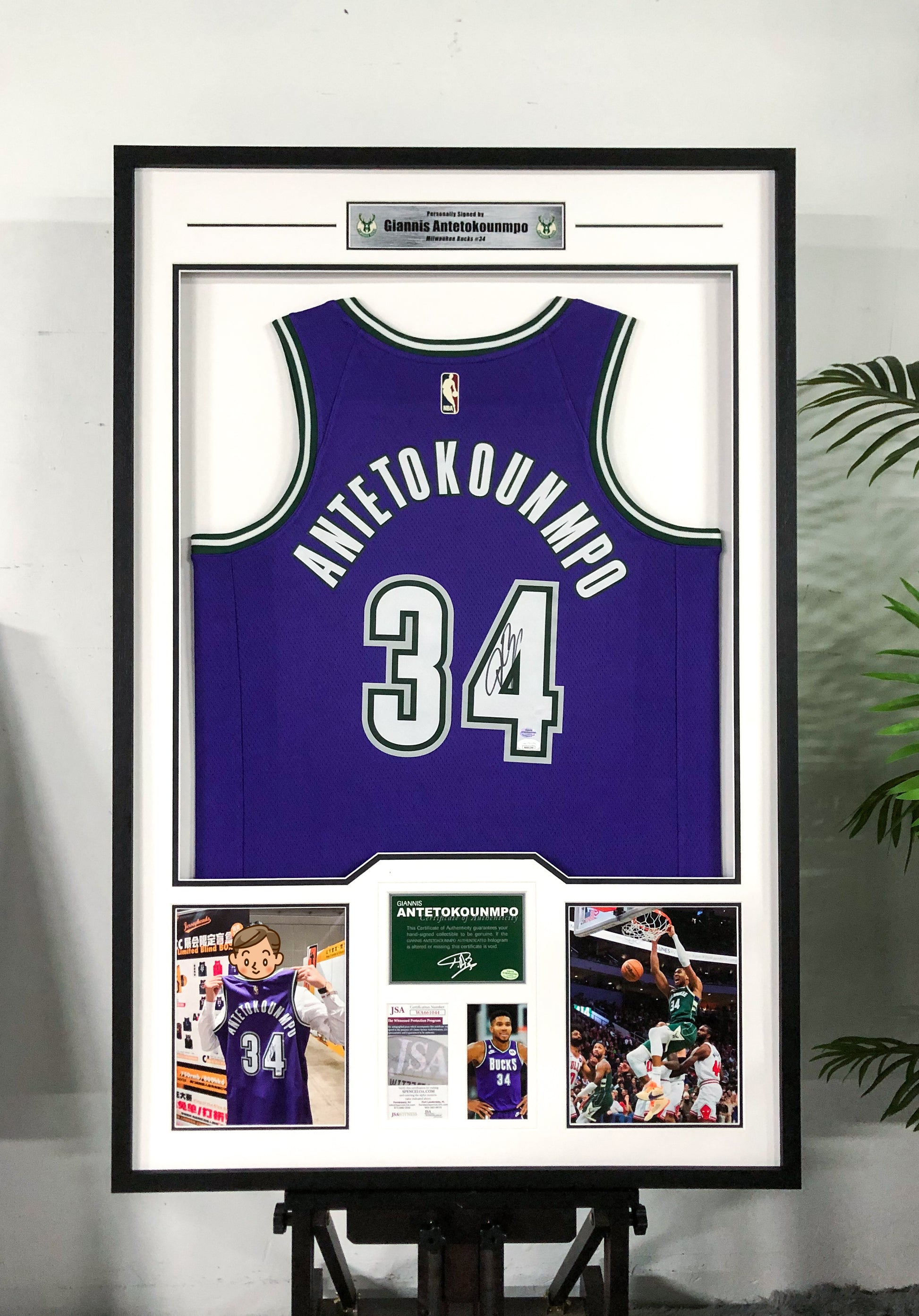 Milwaukee Bucks Giannis Antetokounmpo Autographed Jersey with Standard Design Framed 00071