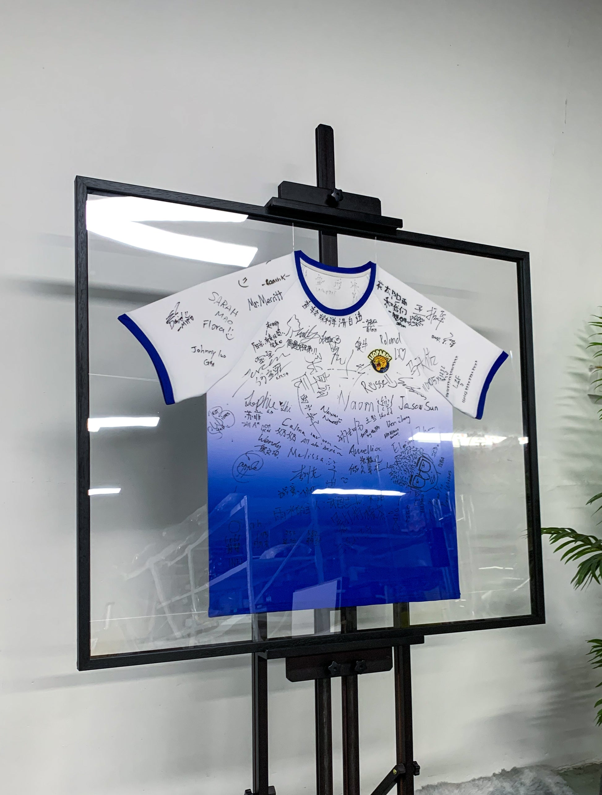 Custom T-Shirt Framing 000239