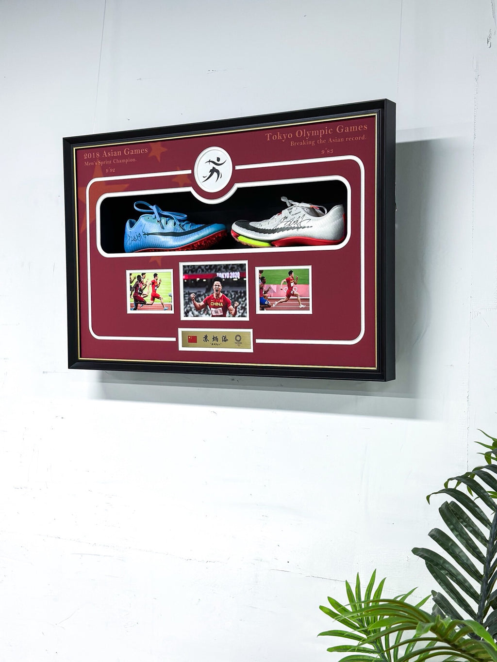 Custom Framed Sneakers 000206