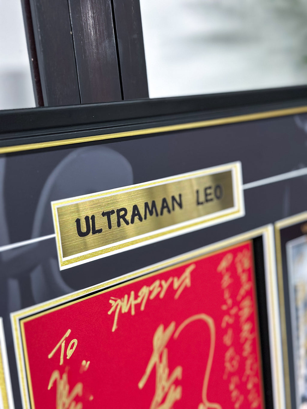 LEO Poster Custom Framing 000211