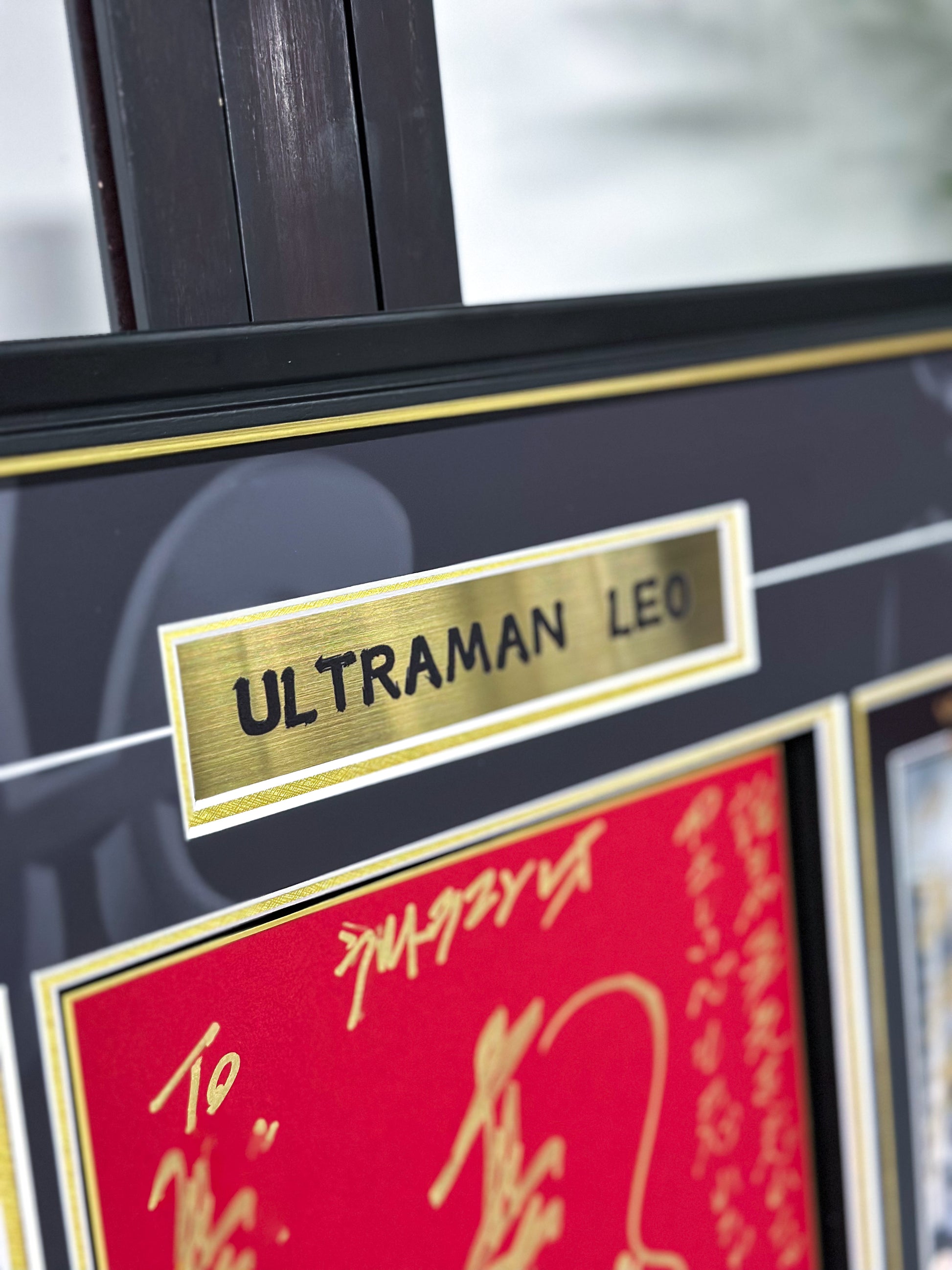 LEO Poster Custom Framing 000211