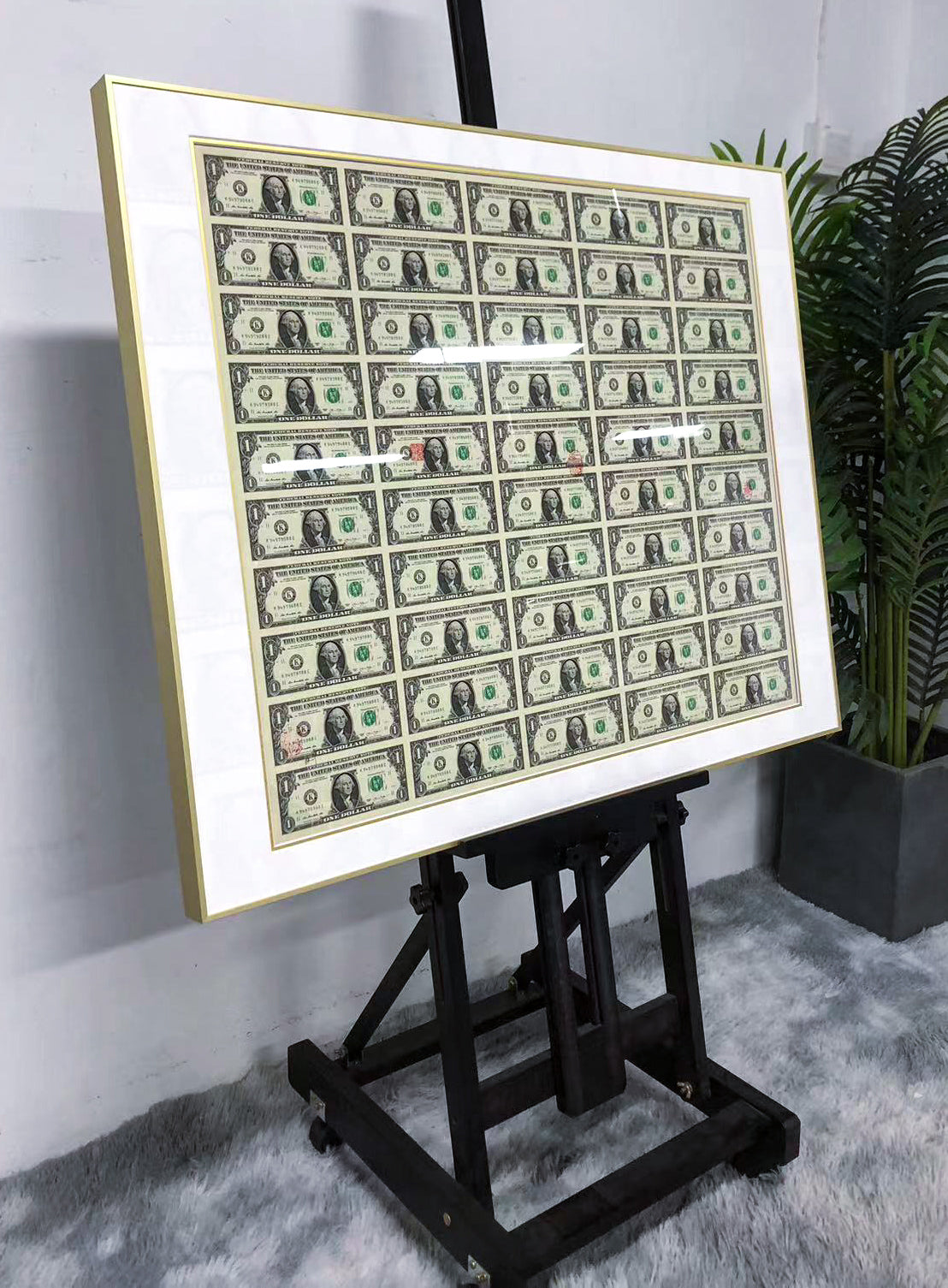 Banknote Custom Framing 000199