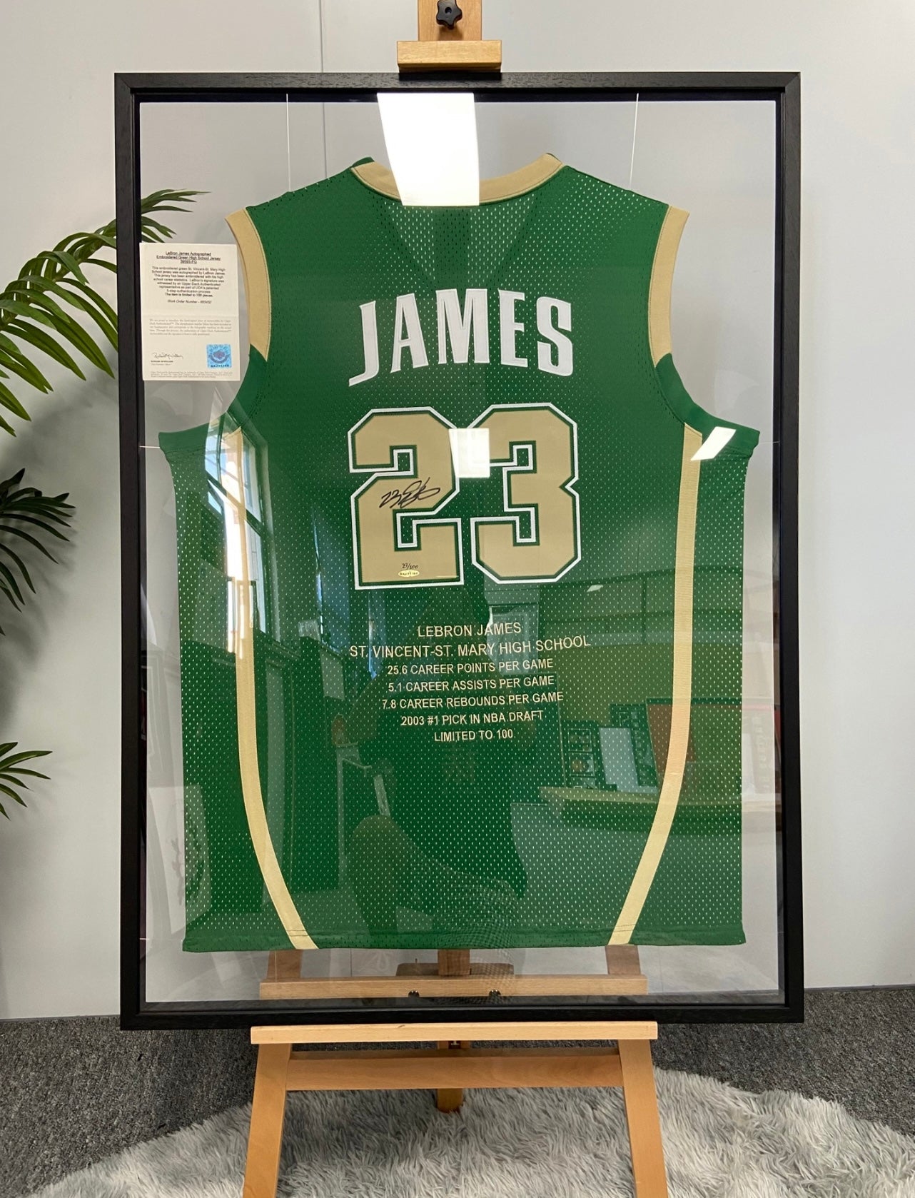 IRISH LeBron James Autographed Jersey with Personalized Custom Design Framed 000047