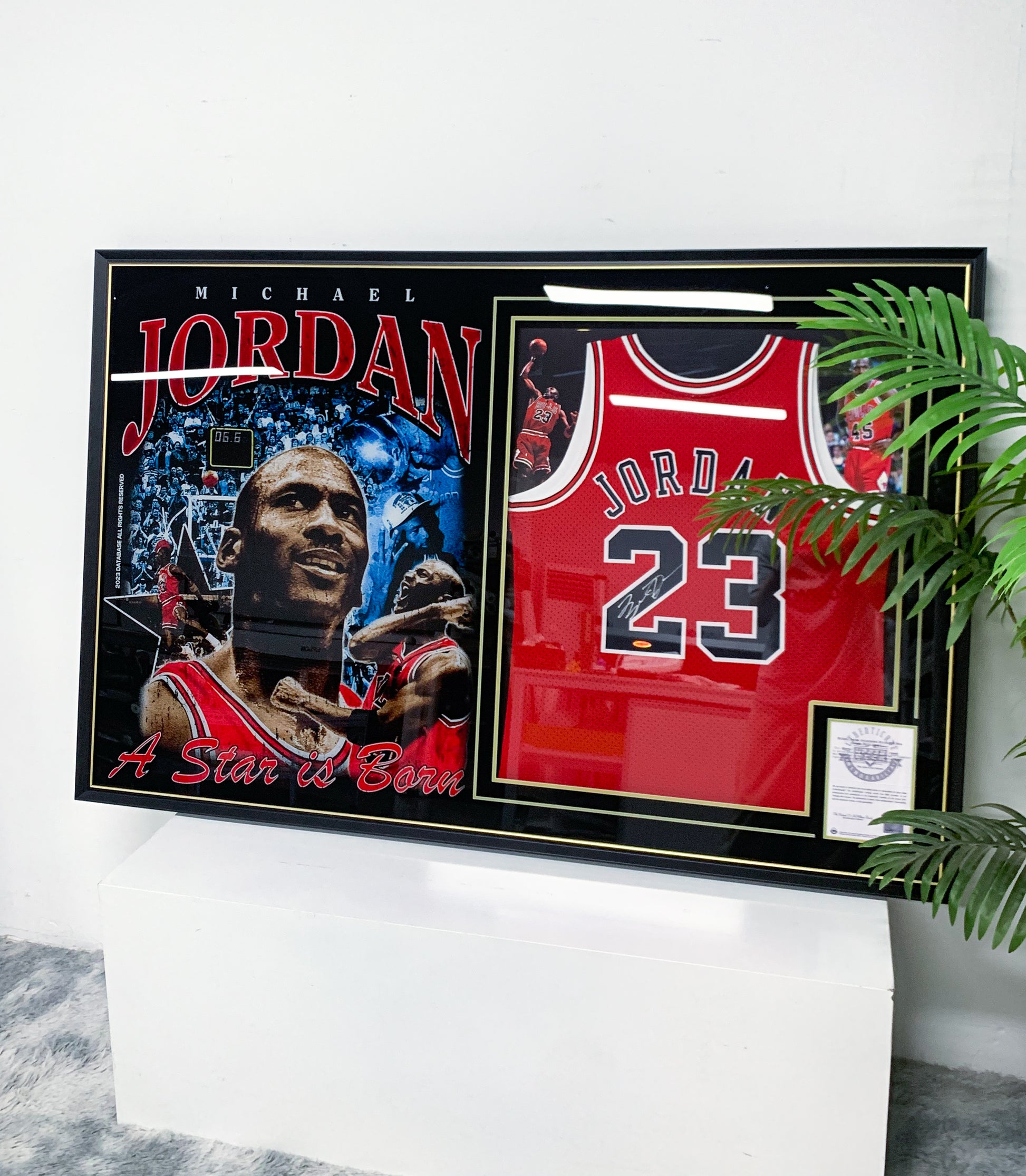 Chicago Bulls Michael Jordan Autographed Jersey with Standard Design Framed 00085