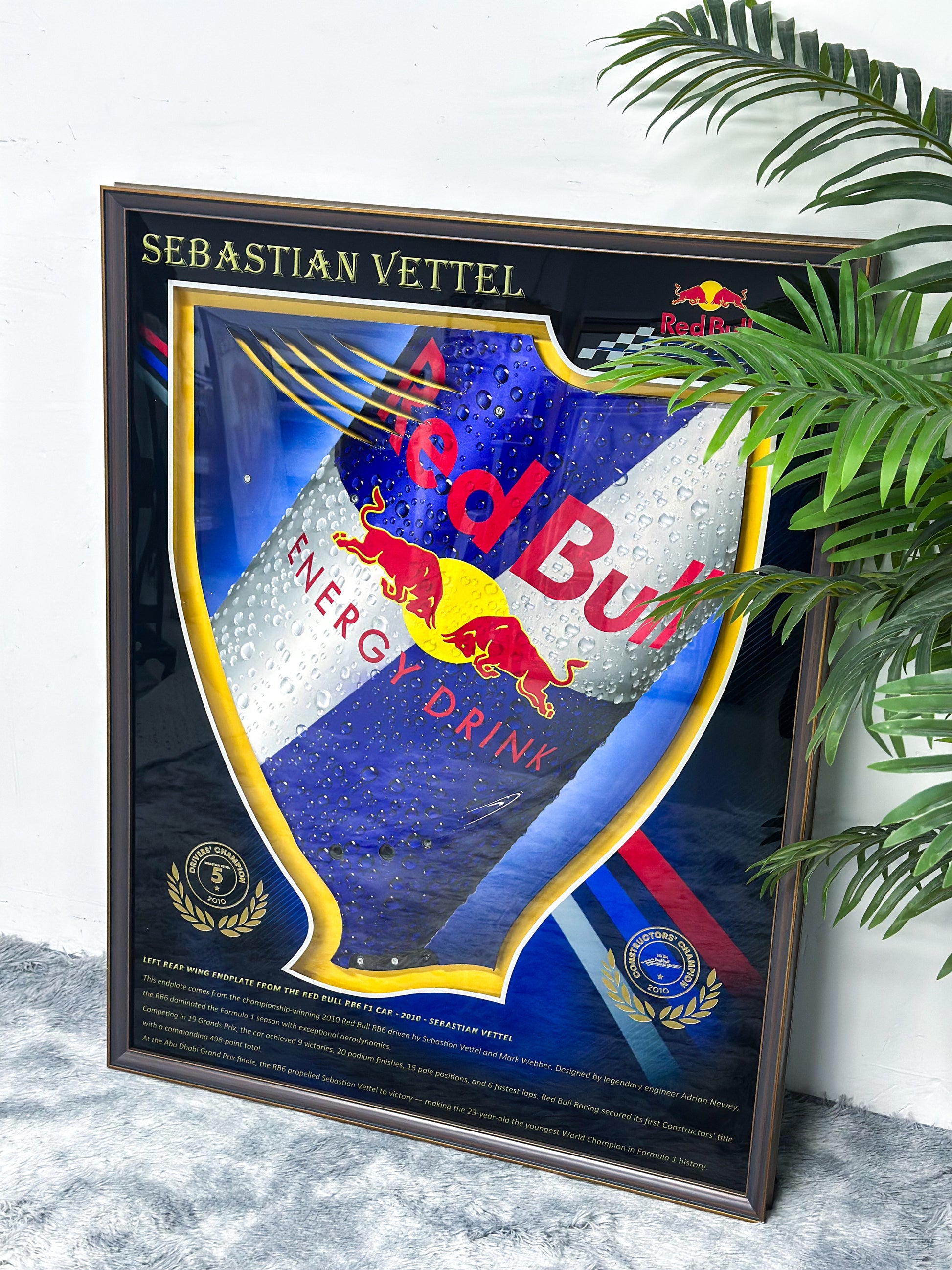 F1 Vettel Red Bull RB6 Left Rear Wing Endplate 000126