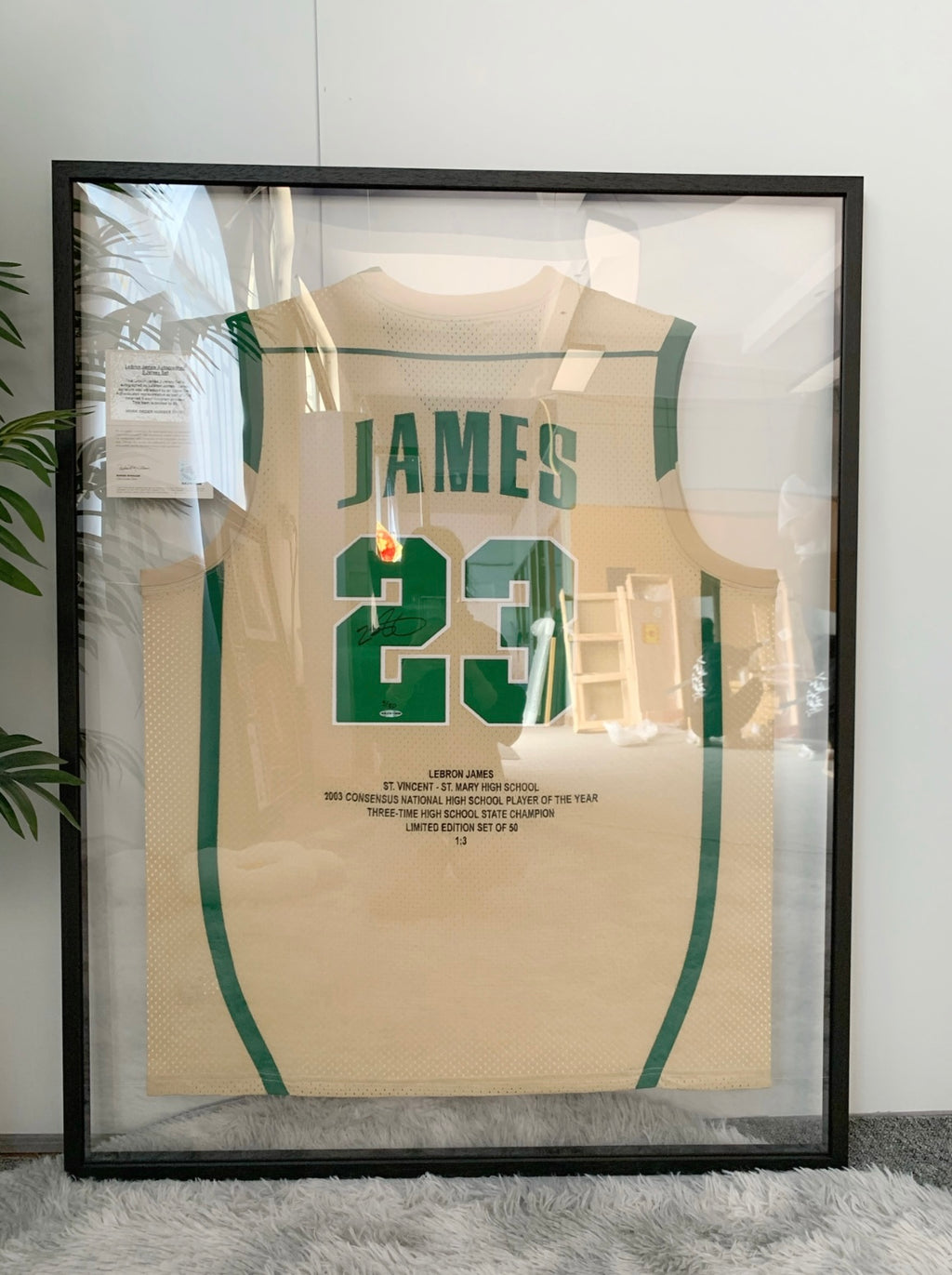 IRISH LeBron James Autographed Jersey with Personalized Custom Design Framed 000046