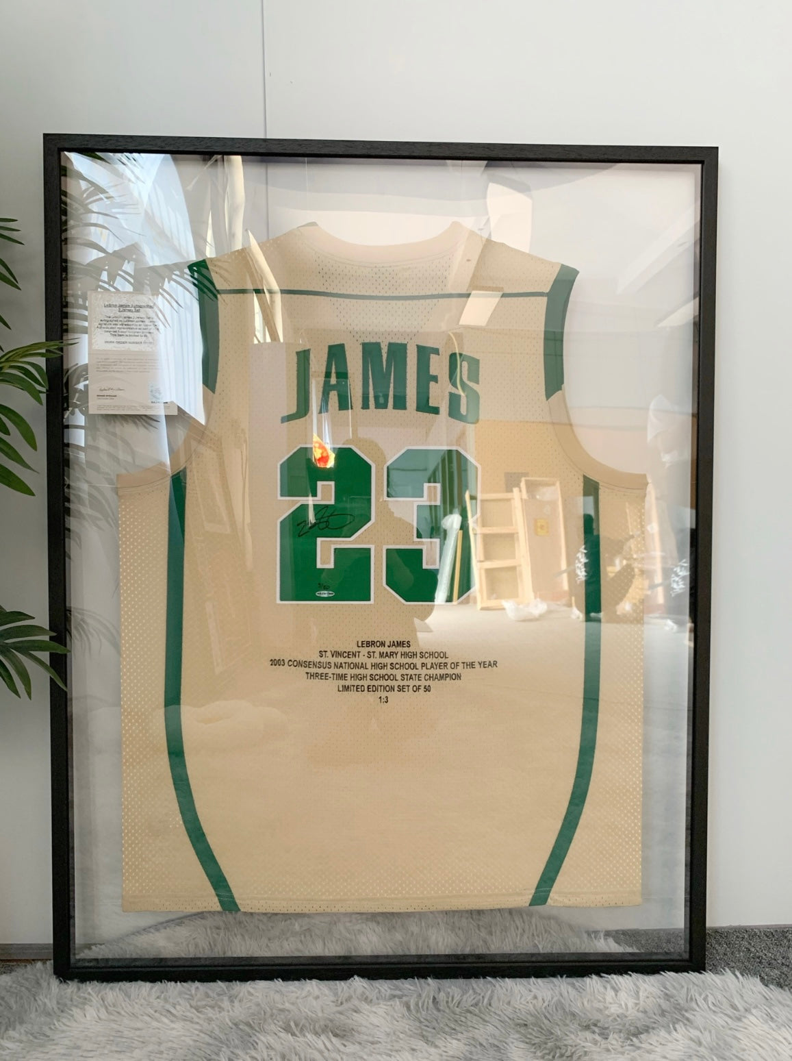 IRISH LeBron James Autographed Jersey with Personalized Custom Design Framed 000046