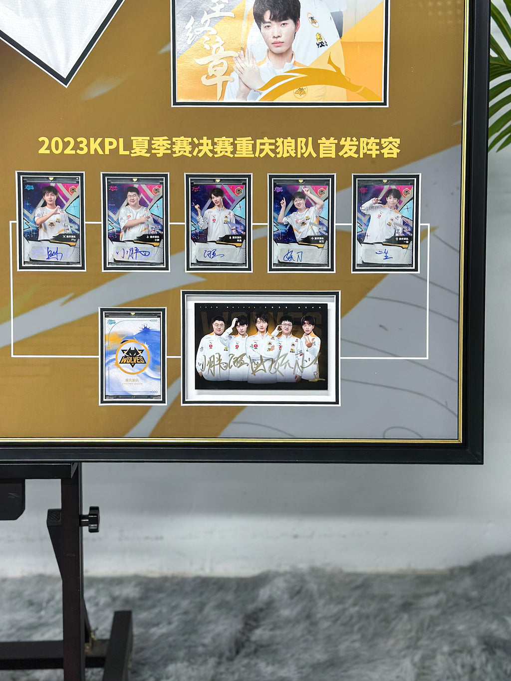 KPL Champion Custom T-Shirt Custom Framing