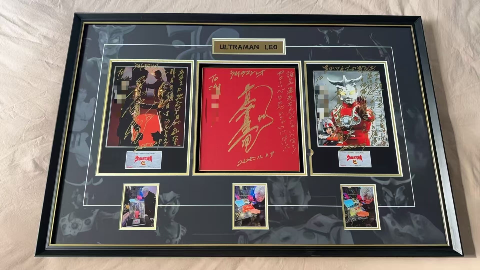 LEO Poster Custom Framing 000211