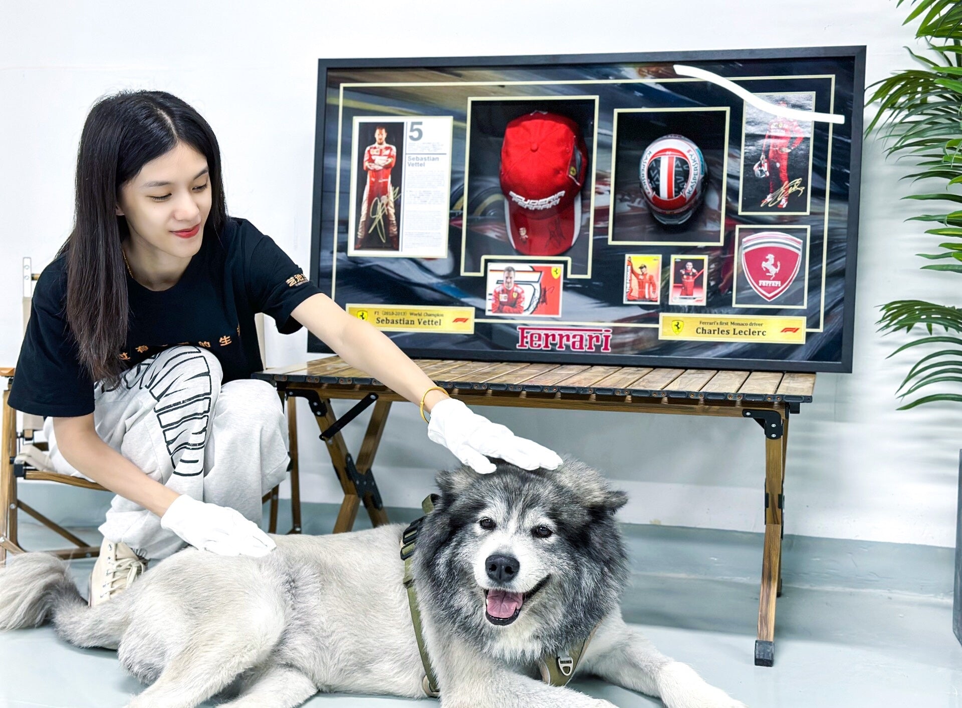 Hat Custom Framing 000192