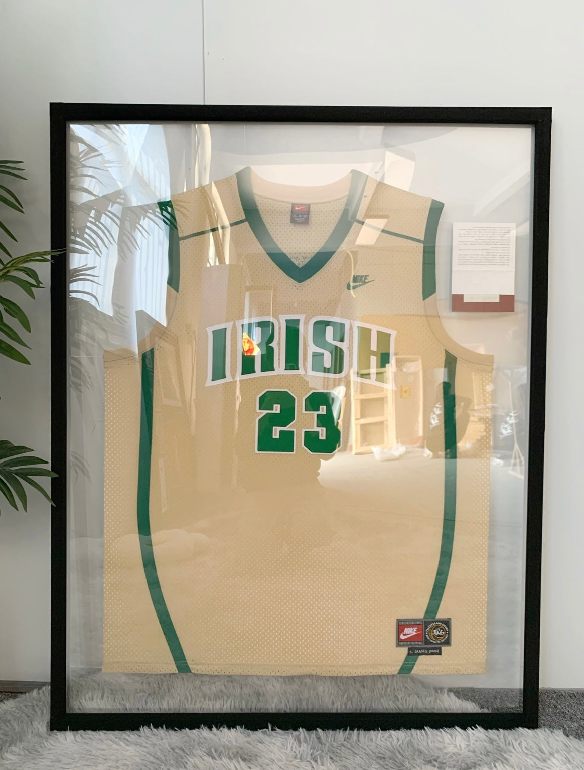 IRISH LeBron James Autographed Jersey with Personalized Custom Design Framed 000046