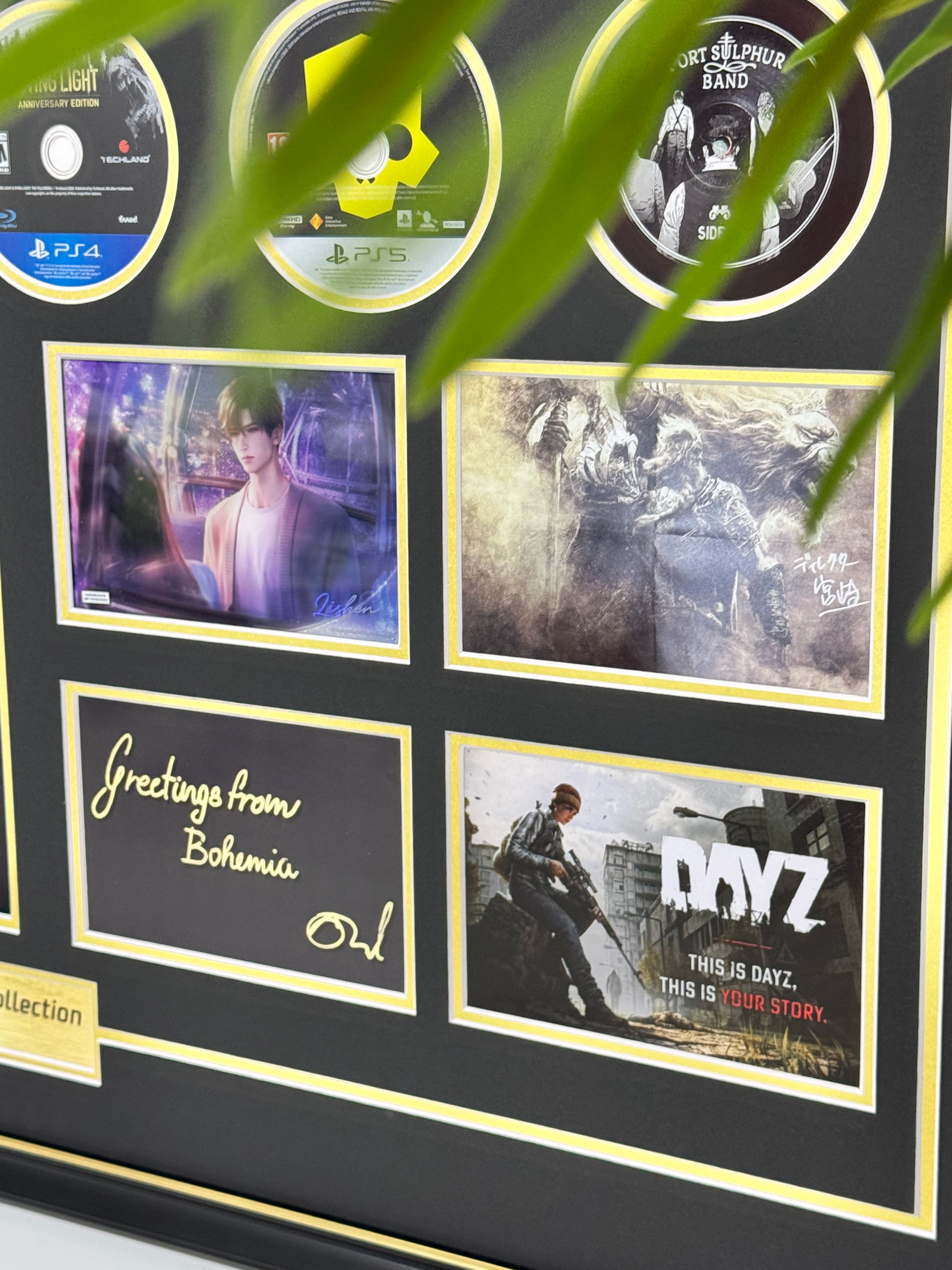 CD Projekt Custom Framing 000234