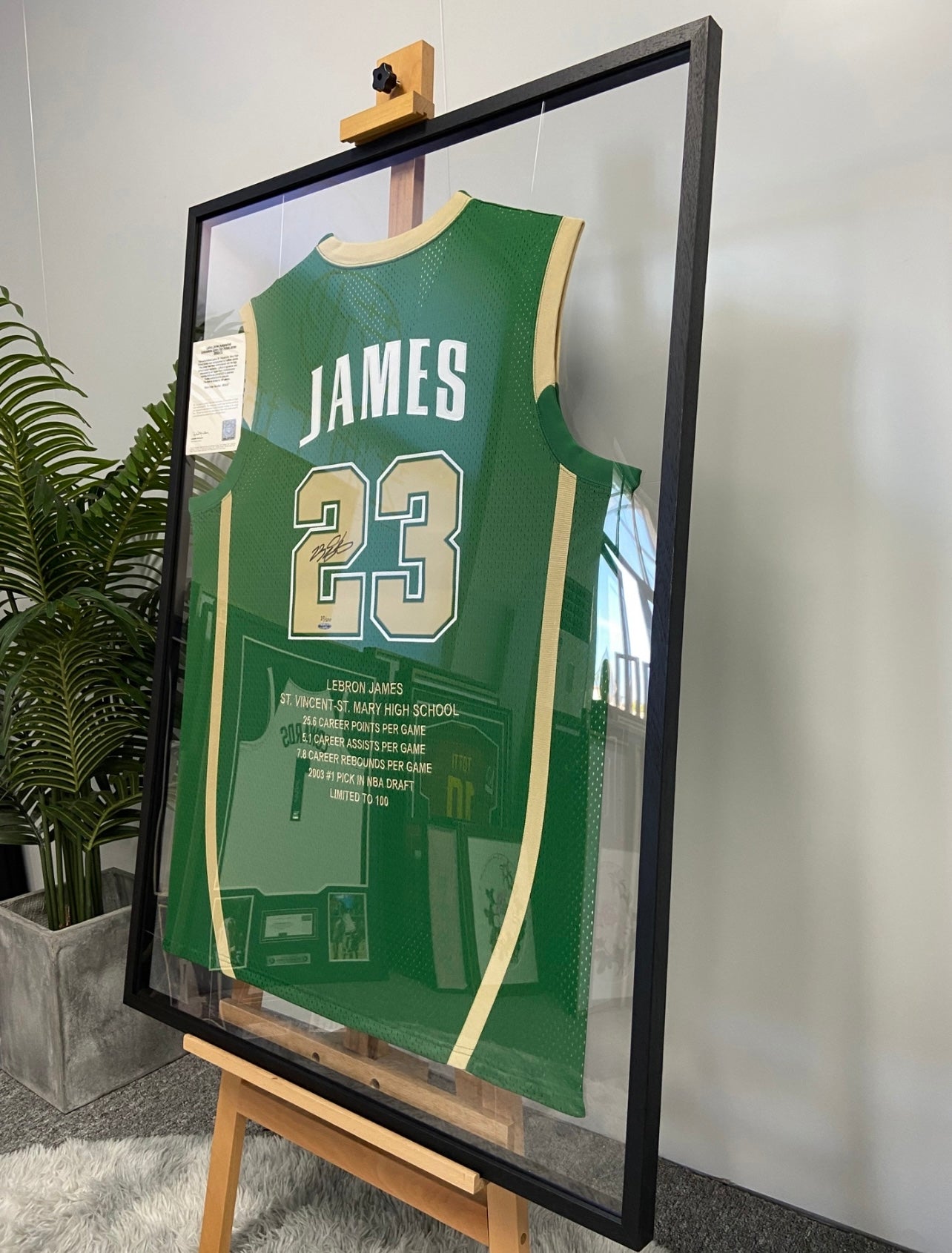 IRISH LeBron James Autographed Jersey with Personalized Custom Design Framed 000047