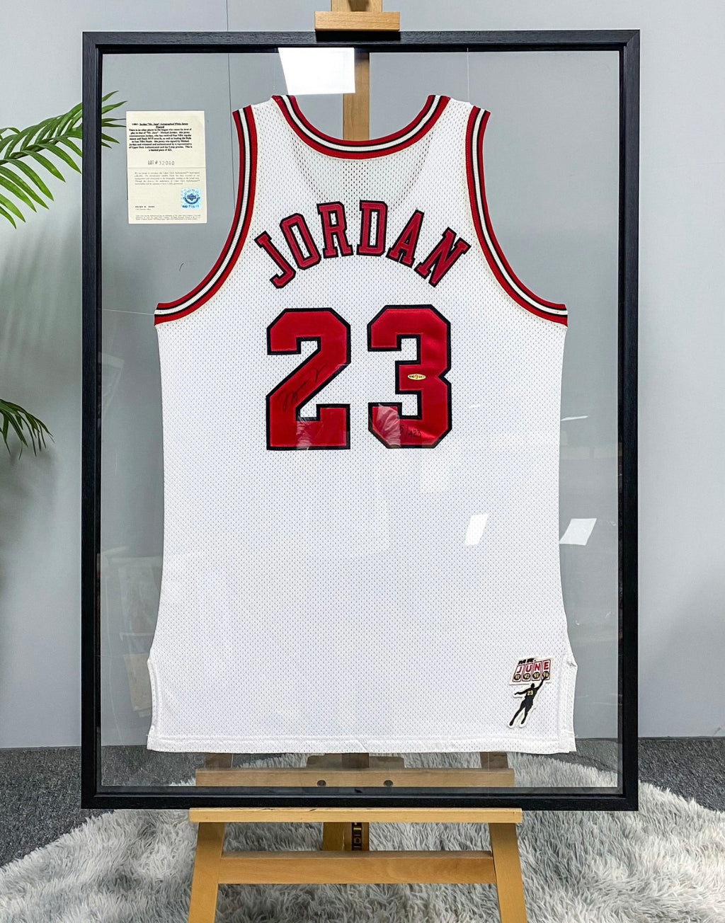 Chicago Bulls Michael Jordan Autographed Jersey with Standard Design Framed 00078