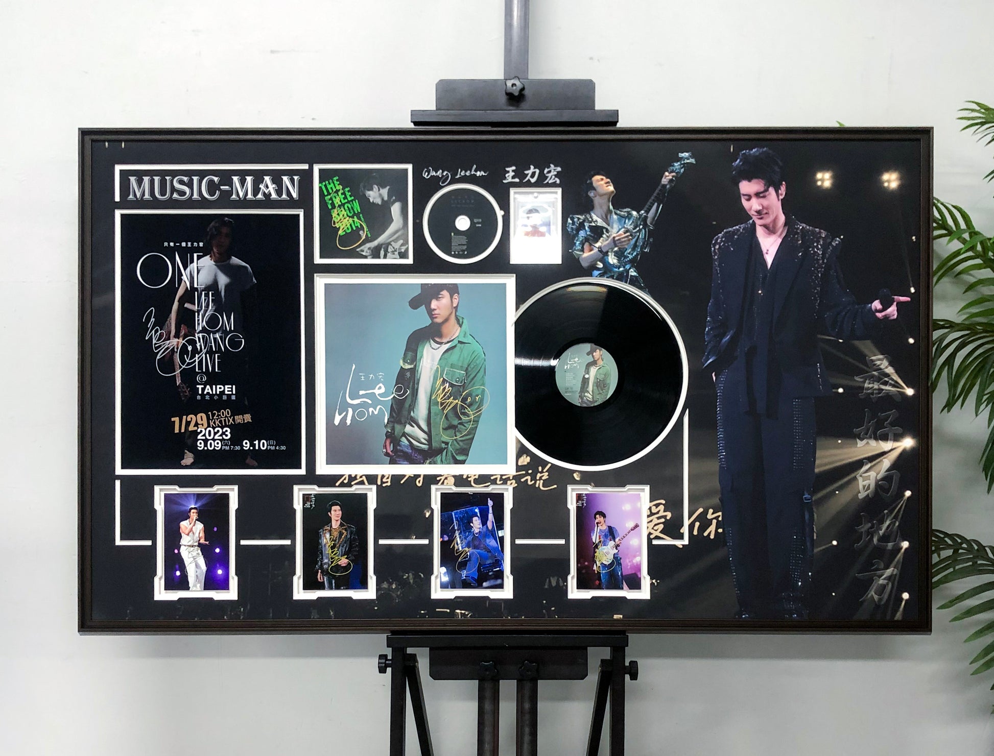 Vinyl records custom framing 000209