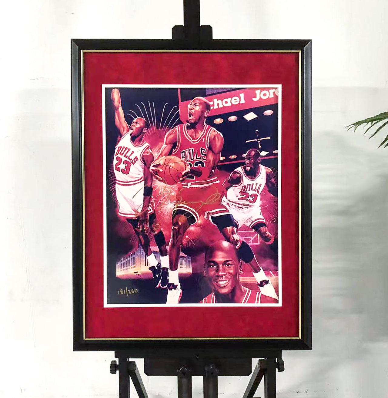 Michael Jordan Poster Custom Framing 00088