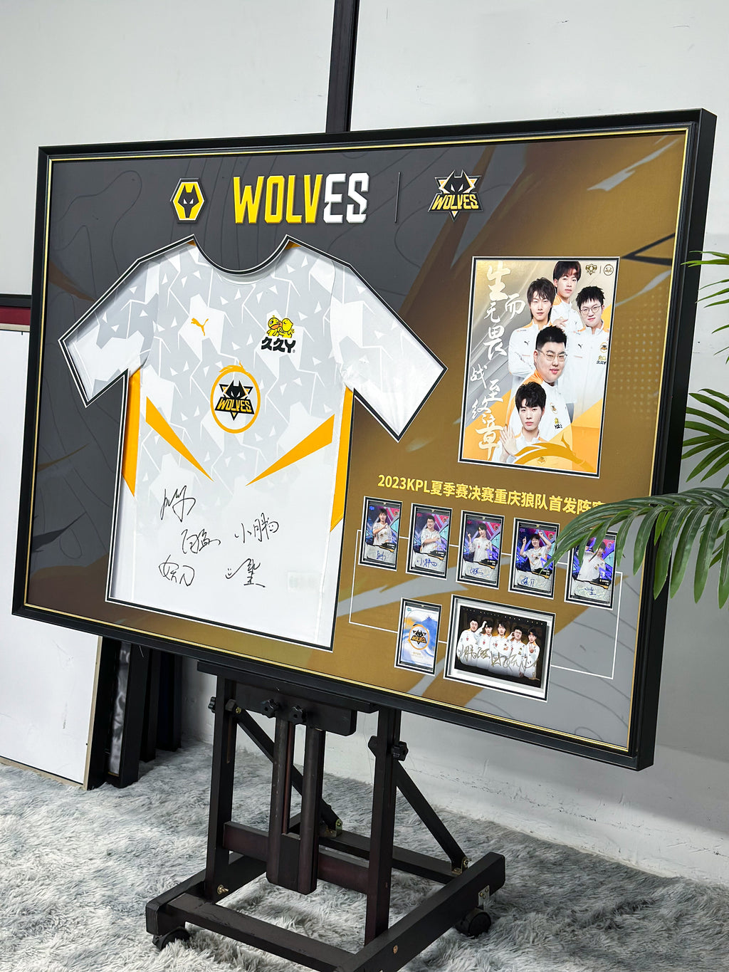 KPL Champion Custom T-Shirt Custom Framing