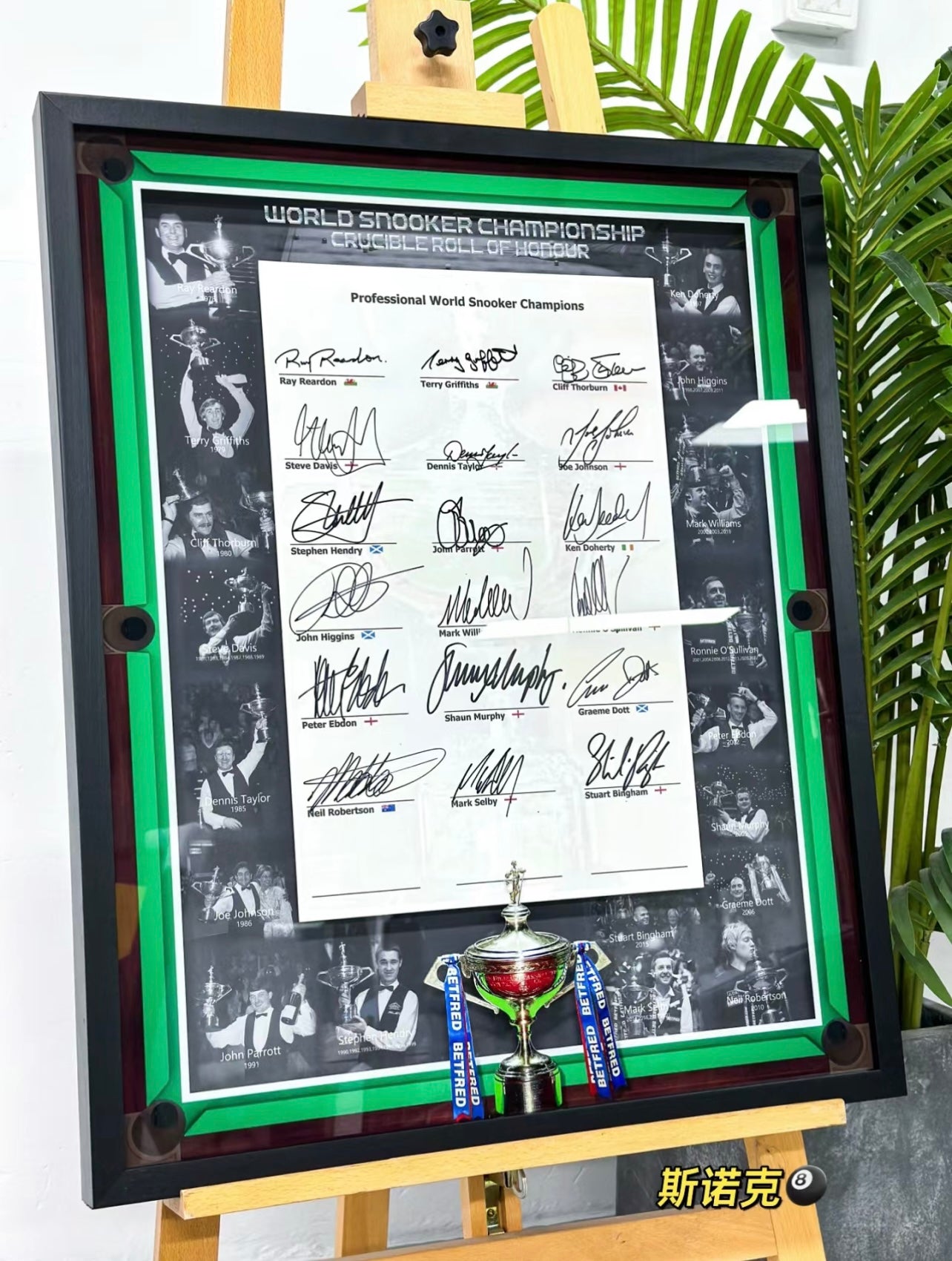 Snooker Sentimental Item with Personalized Custom Design Framed 00105